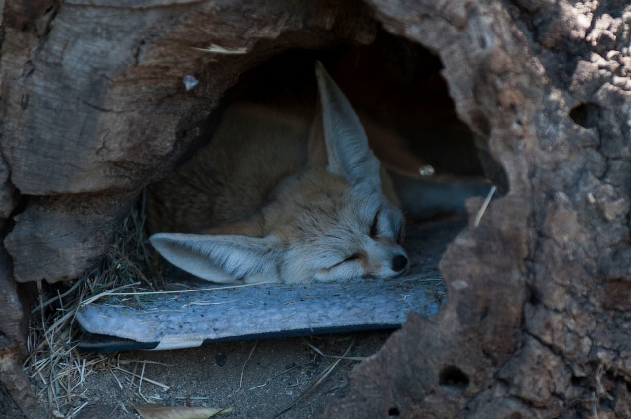 Un bello dia fue perfecto para las familias desde Bakersfield a Modesto.