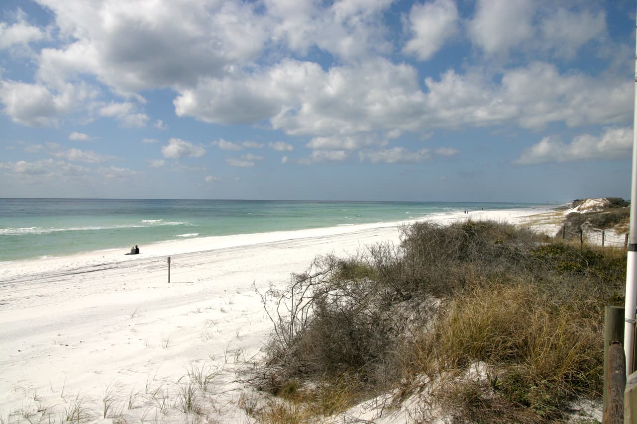 <b>Puesto 3. Grayton Beach State Park, Florida. </b>La arena es ‘blanca y azucarada’ y el agua es de color verde esmeralda. Los restaurantes y alojamientos están en el casco antiguo de Grayton Beach.