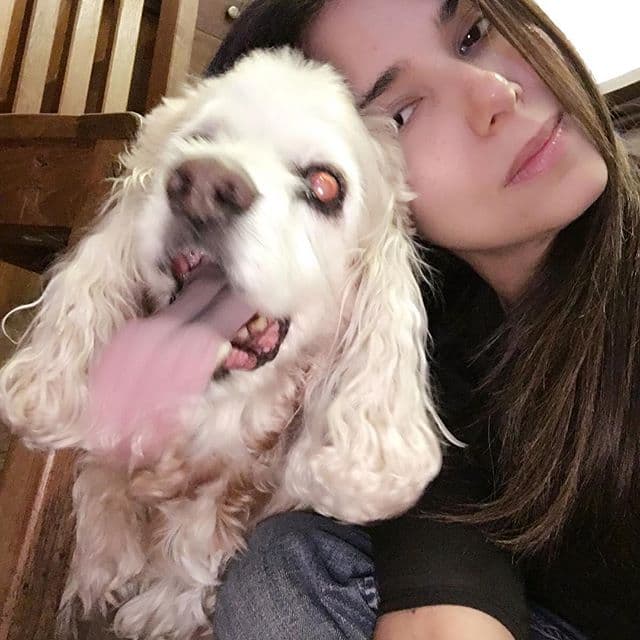 ¡Los animales también son su adoración!