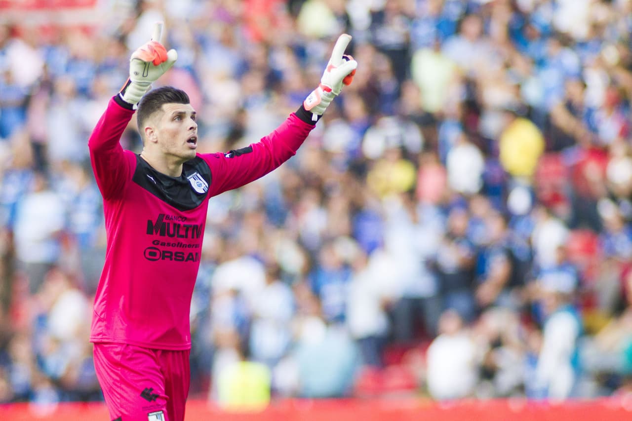 Tiago Volpi y Gallos quieren un título en 2016