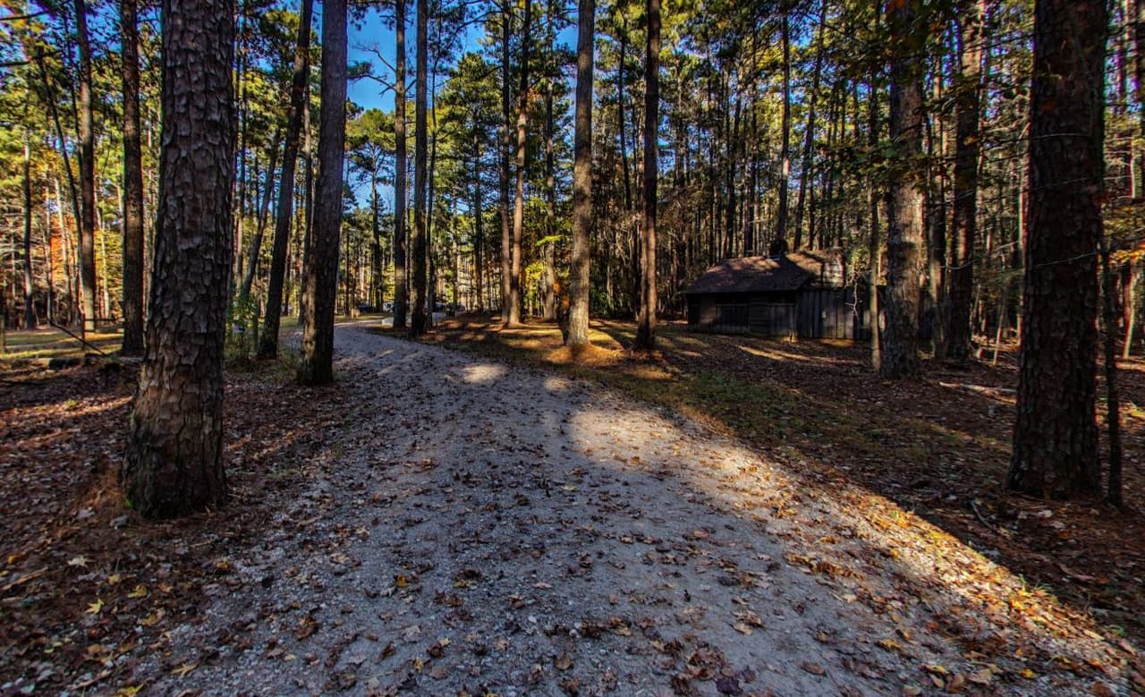 <b>Sycamore Trail (Ubicado en el William B. Umstead State Park).</b> La ruta de senderismo más larga del parque con 7,2 millas. El sendero comienza detrás del refugio uno ubicado en la entrada de Crabtree Creek. Desde allí, corre paralelo a Sycamore Road y se conecta al circuito. El acceso también está disponible desde el estacionamiento del sendero de usos múltiples al final de Sycamore Road. El sendero sigue Sycamore Creek durante gran parte del circuito. Ambos llevan el nombre del árbol que crece en los bosques de las tierras bajas de Carolina del Norte.