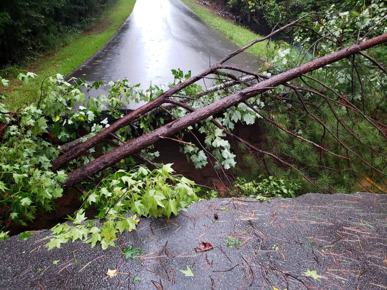 Las fuertes lluvias provocó que parte de la carretera de North Rivoli Farms Drive, se derrumbara creando un agujero de 20 pies de profundidad en el suelo.
