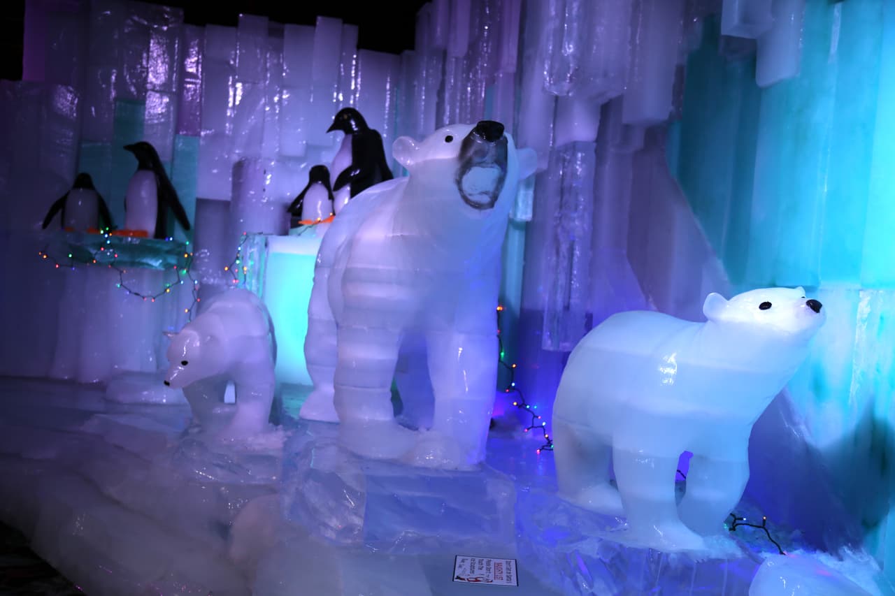 Y con los pingüinos, un grupo de osos polares dice adiós a los visitantes de Ice Land.