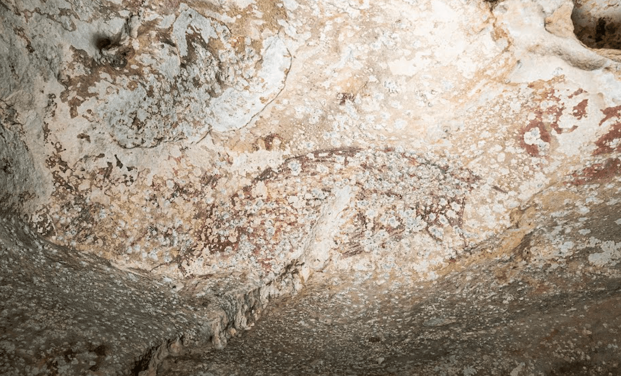 Tres humanos conviviendo con un cerdo: lo que revela la muestra de arte rupestre más antigua jamás encontrada en el mundo