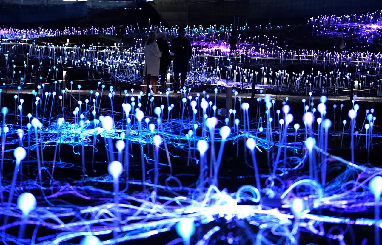 "La obra no tiene otro propósito que ser una expresión de alegría en sí misma" declaró al artista Bruce Munro a la agencia de noticias EFE.