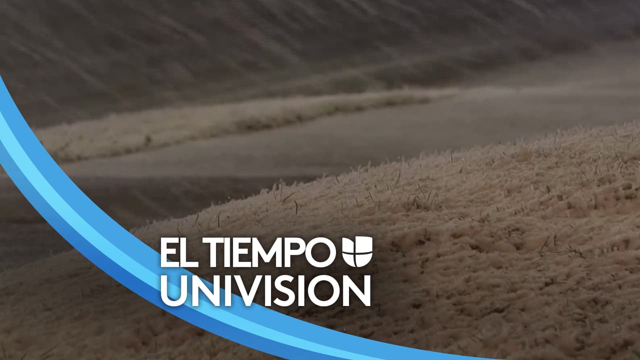 El norte de Denton vivió un martes con lluvia, fuertes vientos, tiempo frío y la caída de grandes copos de nieve, condiciones climáticas que llevaron a muchas personas a quedarse en casa. Pese a que no se reportaron accidentes o estragos, a una cuadra de la Autopista 35 las cuadrillas de electricidad tuvieron que trabajar para restablecer el servicio, pues al parecer la tormenta pudo haber causado un apagón.