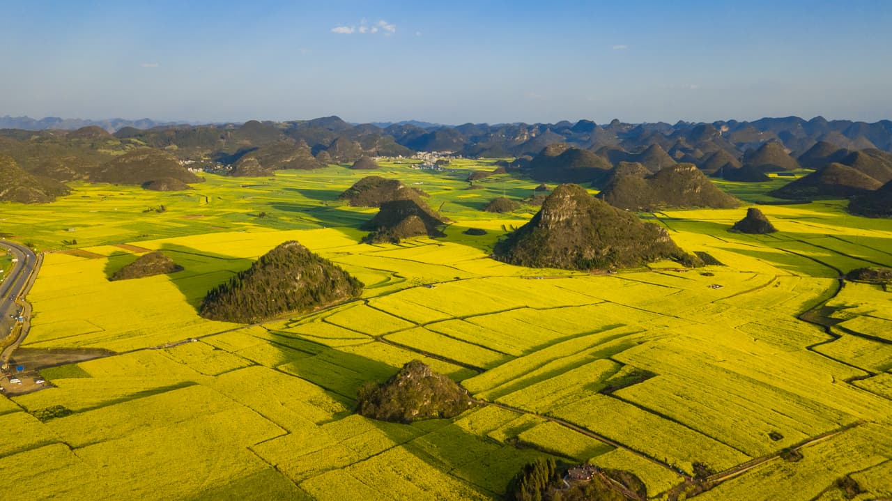 <b>Campo Luoping, China</b>
<br>
<br>Condé Nast Traveler deja claro que no es fácil llegar al condado de Luoping en China, donde los campos de canola son un mar interminable de flores amarillas. Durante la temporada de floración, los campos también se llenan de apicultores, quienes buscan que sus abejas produzcan miel a partir del néctar de las canolas. Sí, es la misma planta de donde se saca el conocido aceite de cocina.
<br>
