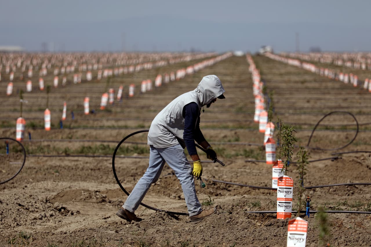 Un trabajador instala una línea de riego en un campo seco de Tulare, California. A principios de mayo Gavin Newsom, gobernador de ese estado, decretó emergencia por la sequía en 41 de los 58 condados de esa entidad.