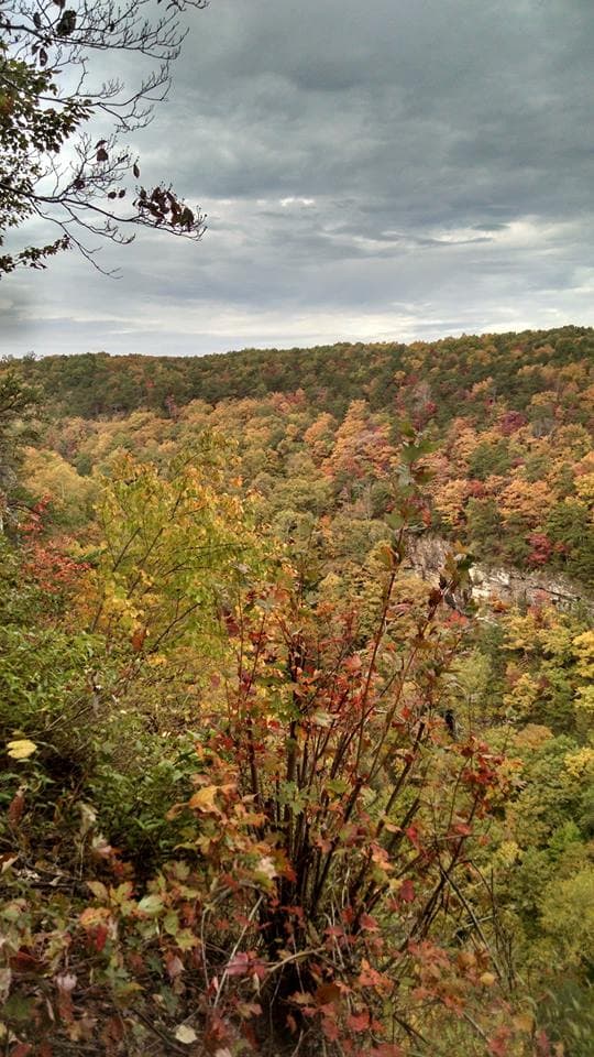 <b><a href="https://gastateparks.org/CloudlandCanyon" target="_blank">El parque está en el 122 de Cloudland Canyon Park, en RoadRising Fawn. </a></b>