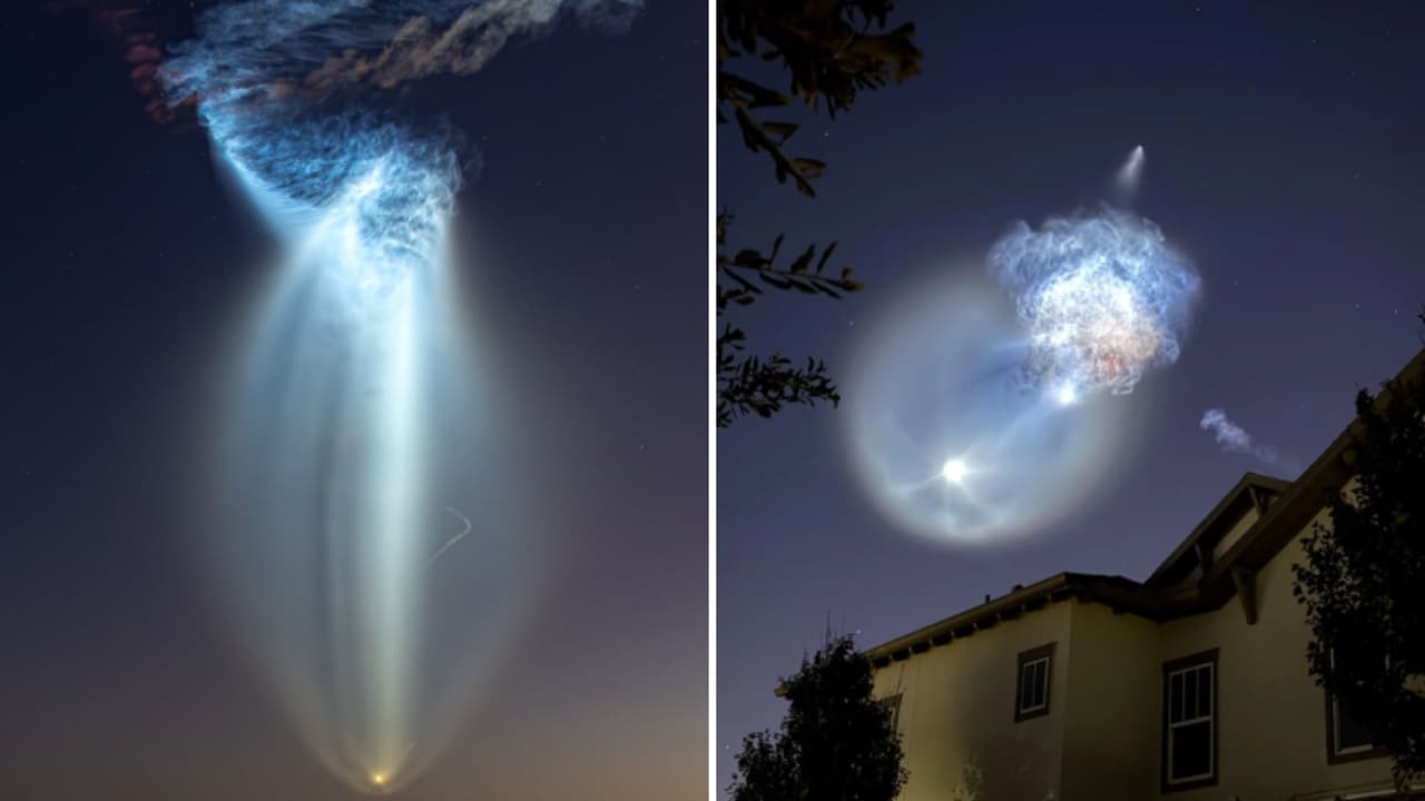 ¿Qué es la medusa espacial? El fenómeno que iluminó el cielo de Florida tras lanzamiento de Spacex 