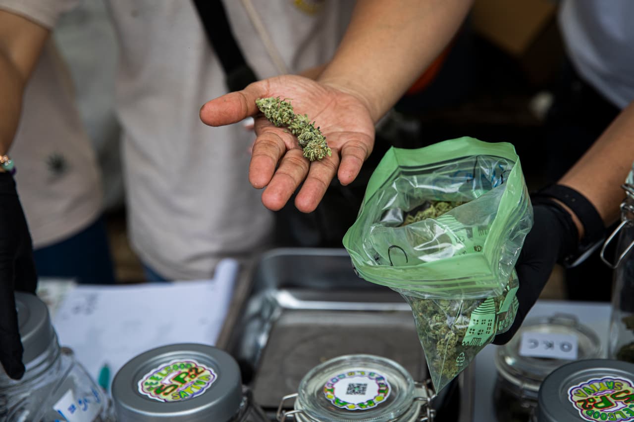 Buscan proteger a trabajadores que usan marihuana recreativa en su tiempo libre en California