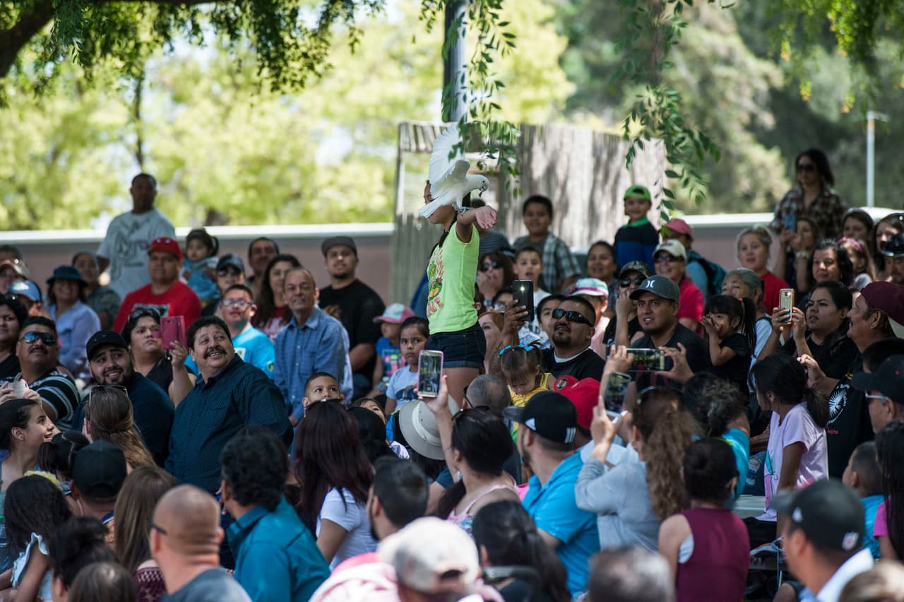 El show de aves fue uno de los favoritos durante el Festival de los Niños 2017
