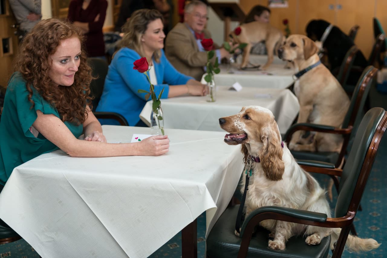 ¡Aquí es donde un par de decenas de perritos conocieron a algunas personas!