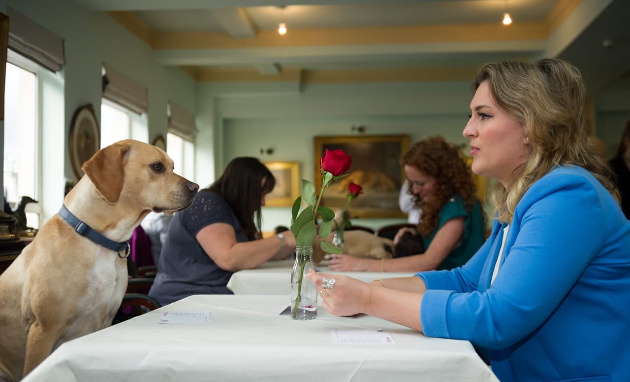También quieren concientizar a la humanidad sobre la importancia de mantener sanas, seguras y felices a sus mascotas.