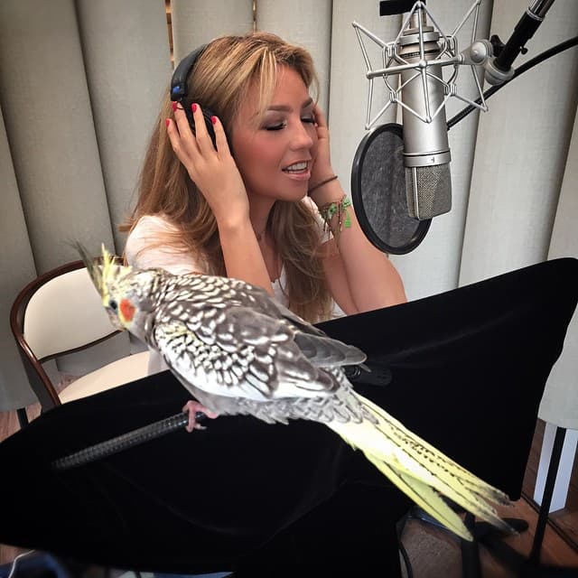 Justo ahora se encuentra trabajando en su nuevo material discográfico. ¿La extrañas en las telenovelas?