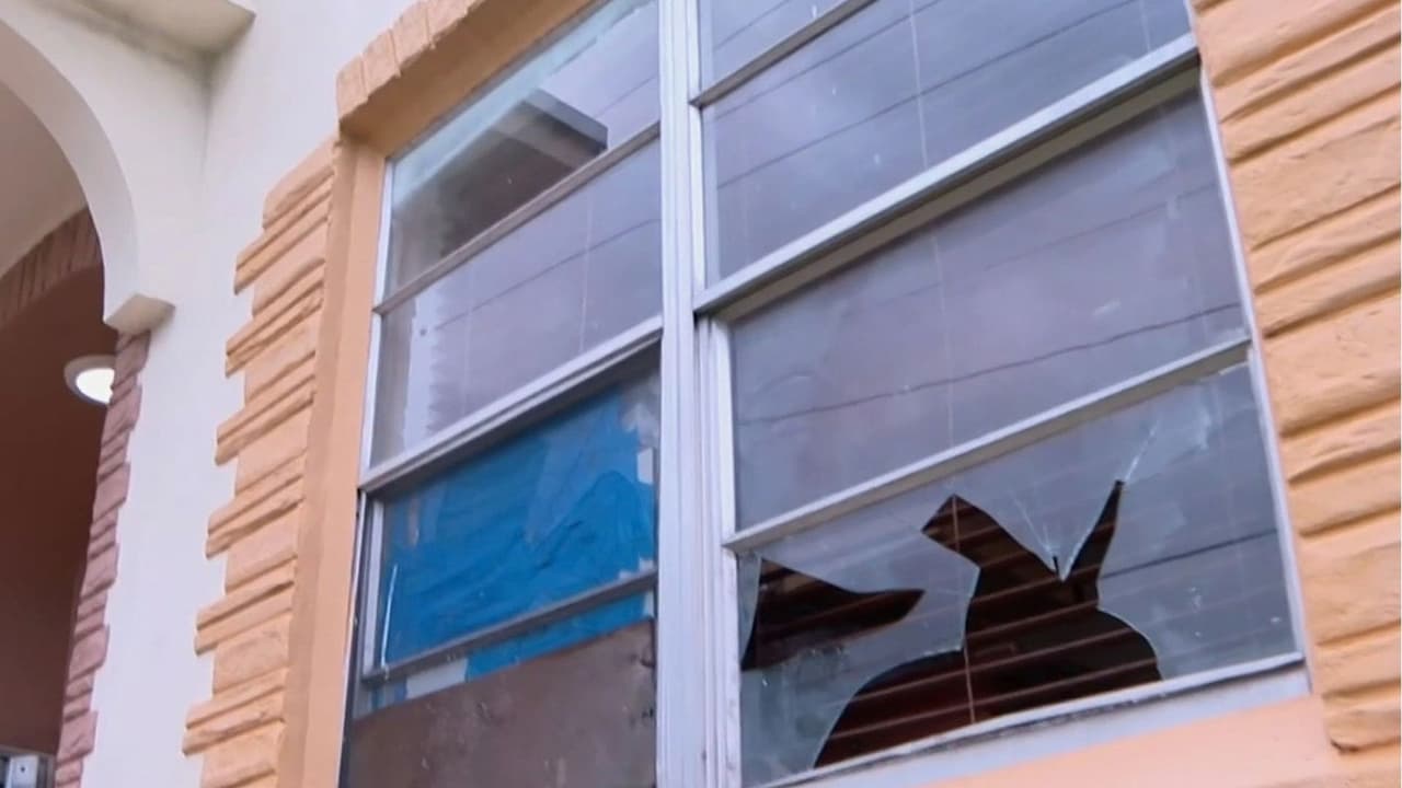 "Hay ratones, termitas y pulgas": denuncian condiciones insalubres en edificio de la Pequeña Habana