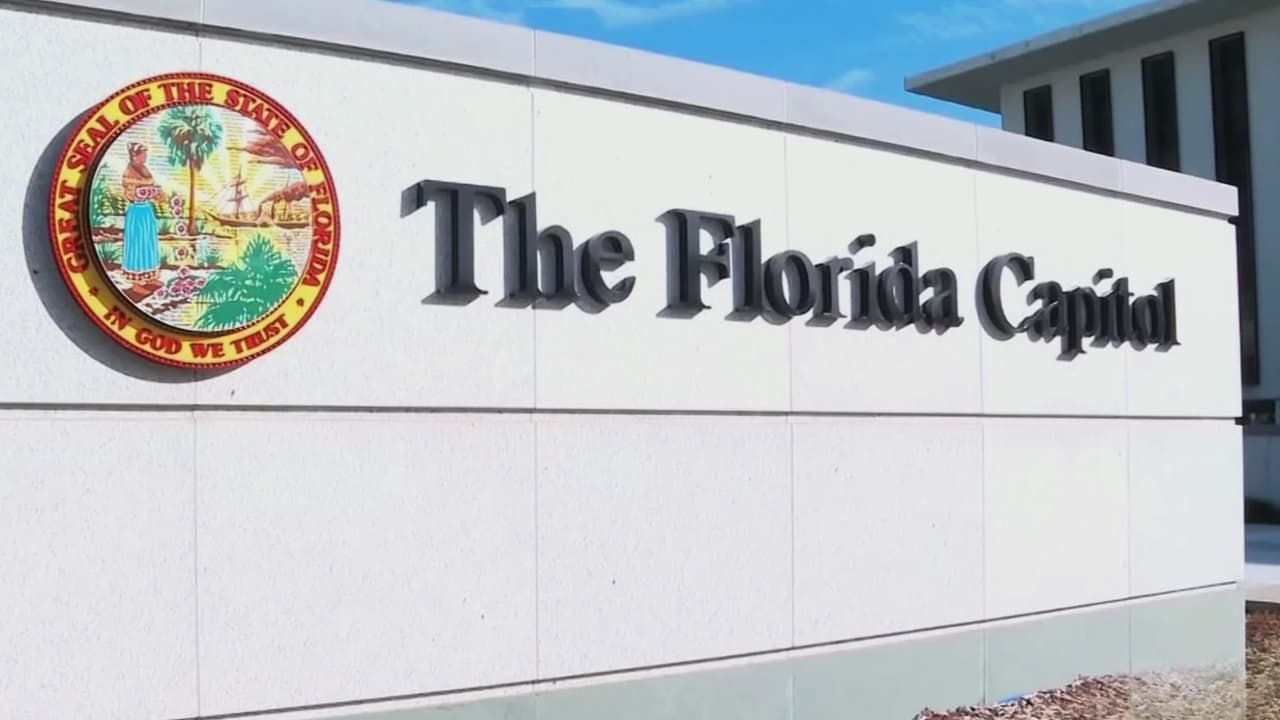 Alrededor de 30 leyes entran en vigor en Florida: habrá castigos más severos en varias infracciones