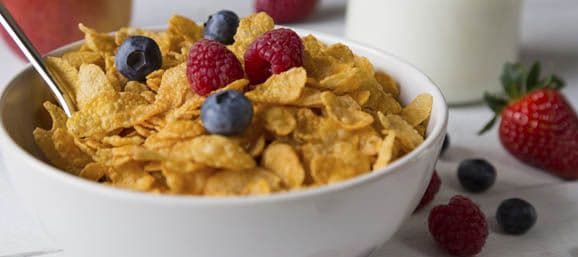 Así que un buen plato por la mañana y uno por la noche mantendrán tus niveles de hierro muy estables.