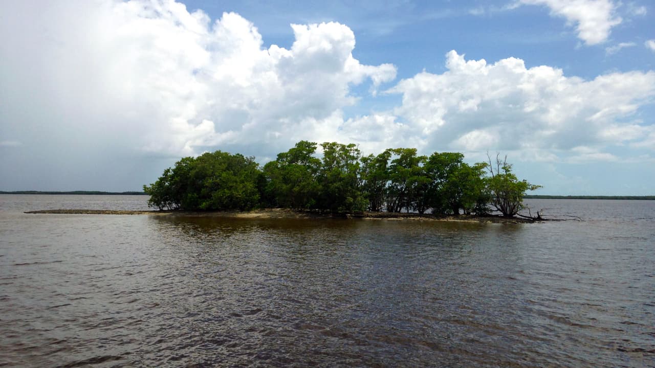 Estos pequeños islotes resguardados por los manglares son una ubicua característica de las Diez Mil Islas.