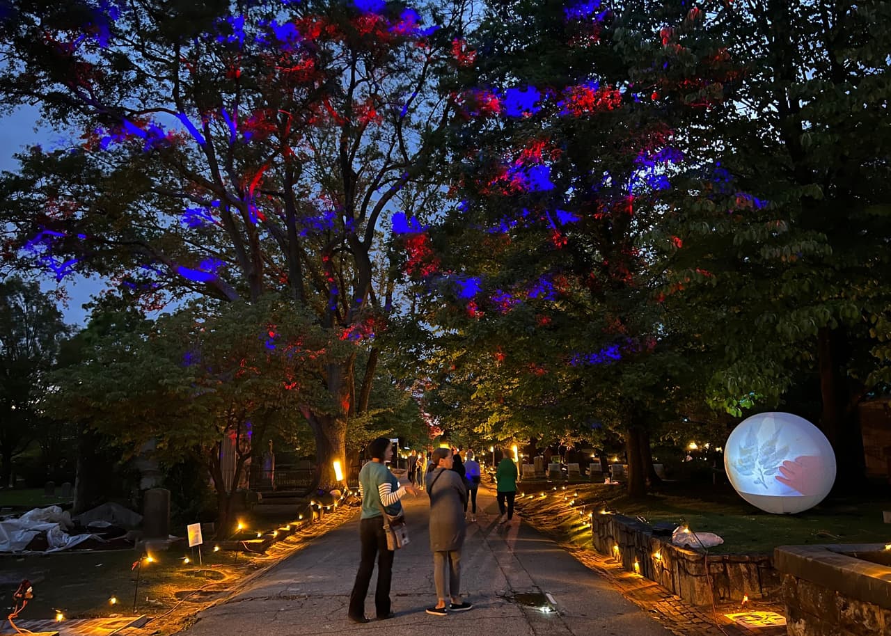 Encuentra más destinos e información local, 
<a href="https://www.univision.com/local/atlanta-wuvg/localisimo"><b>aquí</b></a>.