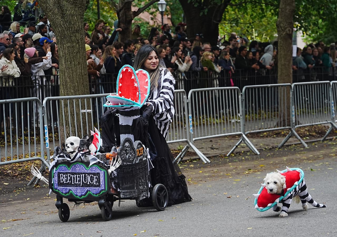 Los perros y gatos mostraron sus mejores atuendos para tratar de ganar el concurso que se realiza cada octubre en vísperas de Halloween.