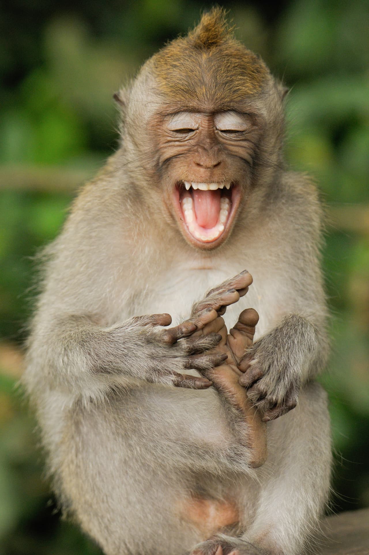 ¡Deja que este pequeñín te robe una sonrisa para que tengas un gran día!