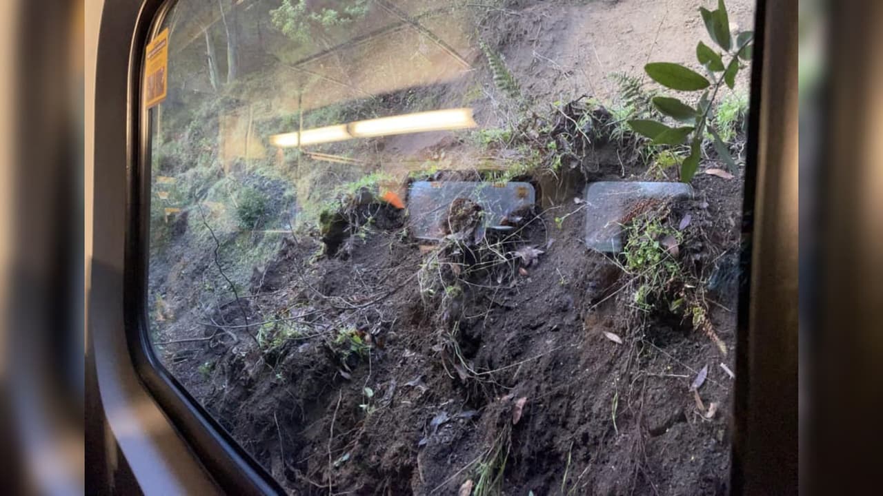 La tierra y las ramas de los árboles podían verse desde la ventanilla del tren.