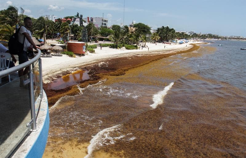 Las zonas más afectadas de la costa de Quintana Roo se encuentran los litorales de Cancún, Puerto Morelos, Isla Mujeres, Cozumel, Holbox, Tulum, Chetumal, Solidaridad, Bacalar, Mahahual y Felipe Carrillo Puerto.