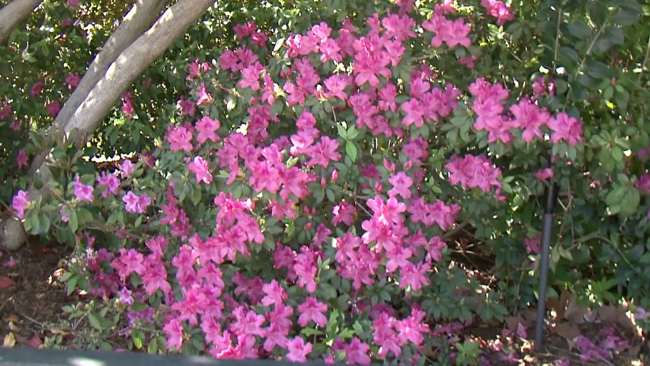 Los boletos cuestan 30 dólares e incluyen 6 entradas para las 4 casas.