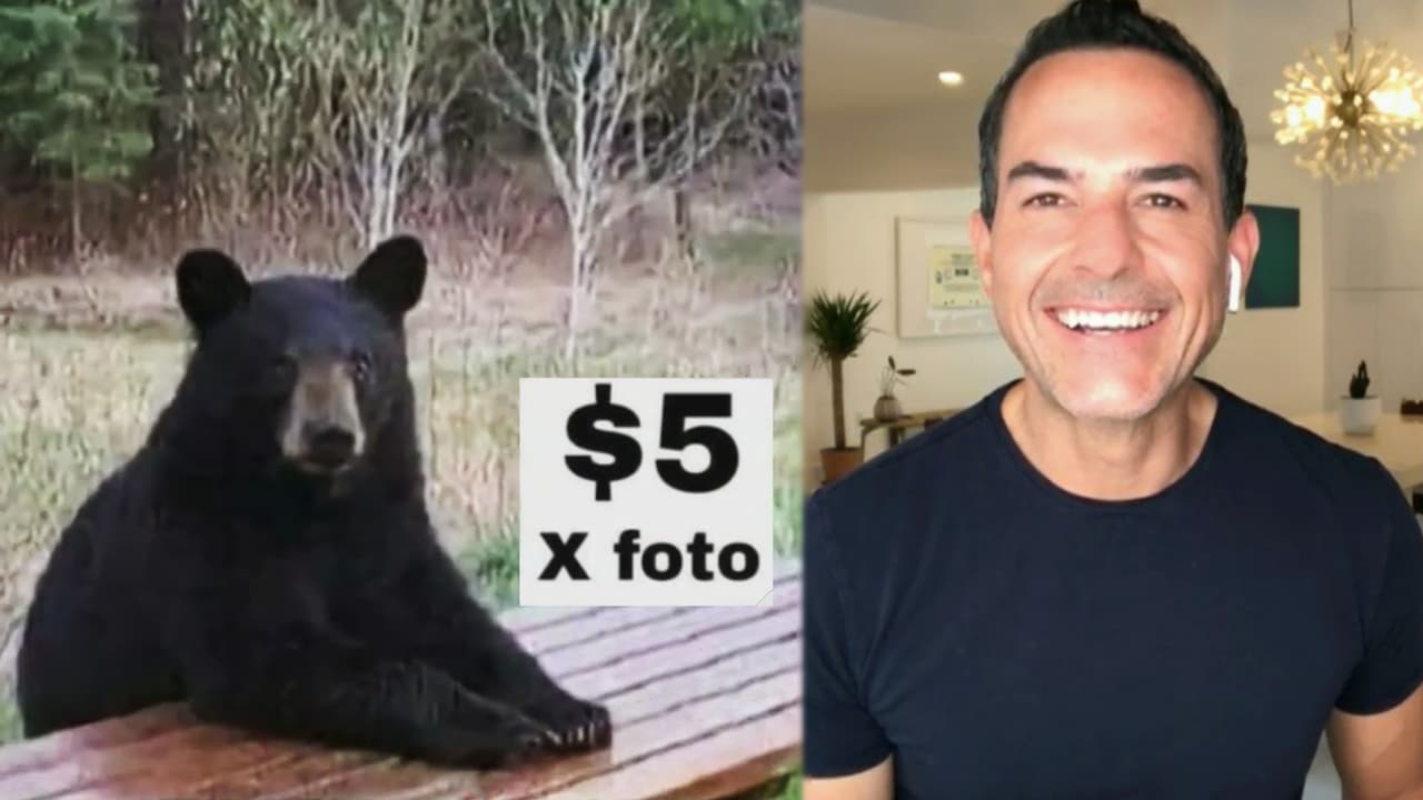 Esta semana nos sorprendió la escena de tres mujeres conservando la calma ante la presencia de un oso. Pero el fenómeno viral siguió con sus respectivos 
<a href="https://www.univision.com/shows/despierta-america/los-memes-de-la-selfie-con-el-oso-no-se-hicieron-esperan-y-nos-divertimos-con-la-creatividad-en-redes-video">memes</a>.