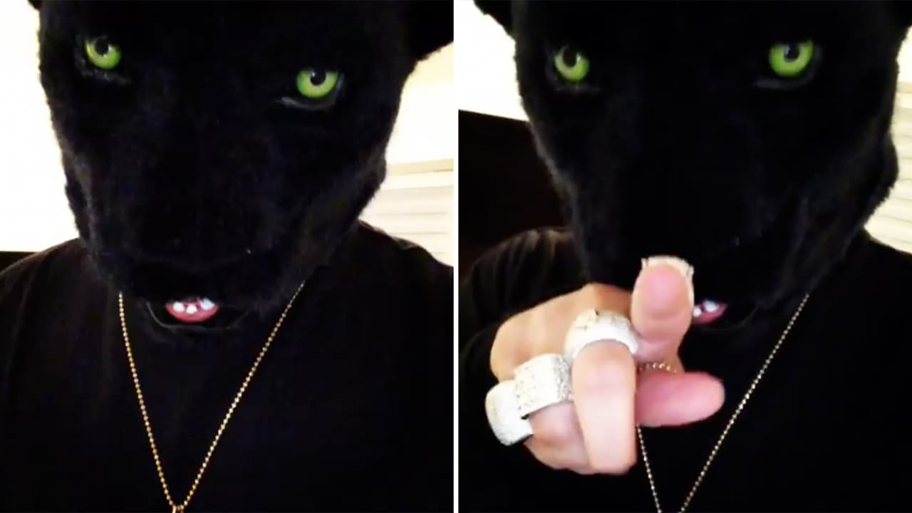 ¿Se cansó de ser conejo?: Bad Bunny se muestra como una pantera (¿mala?)