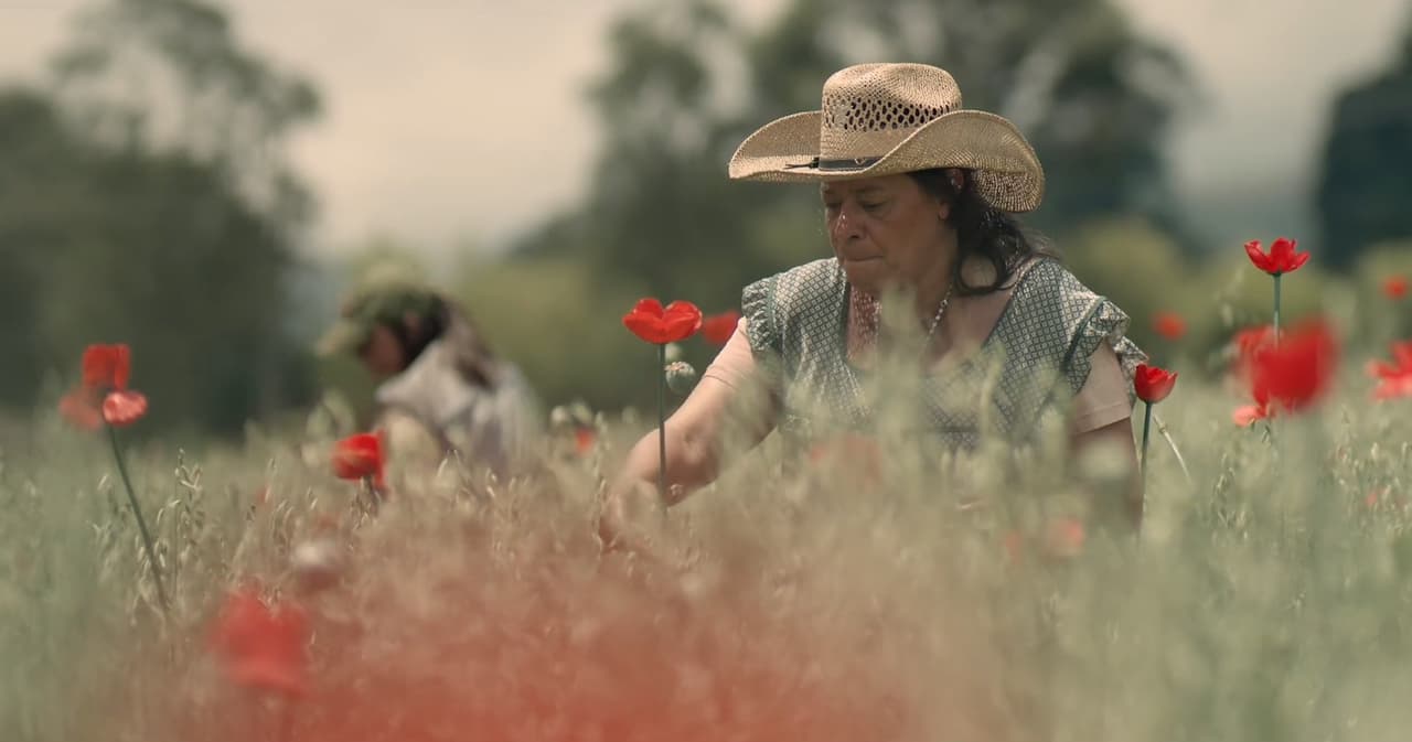 El ‘Triángulo Dorado’ es una zona muy codiciada por los narcotraficantes, no solo por su clima que permite cosechar durante todo el año, además tiene una geografía intrincada que permite ocultar las plantaciones y tener refugios perfectamente camuflados.