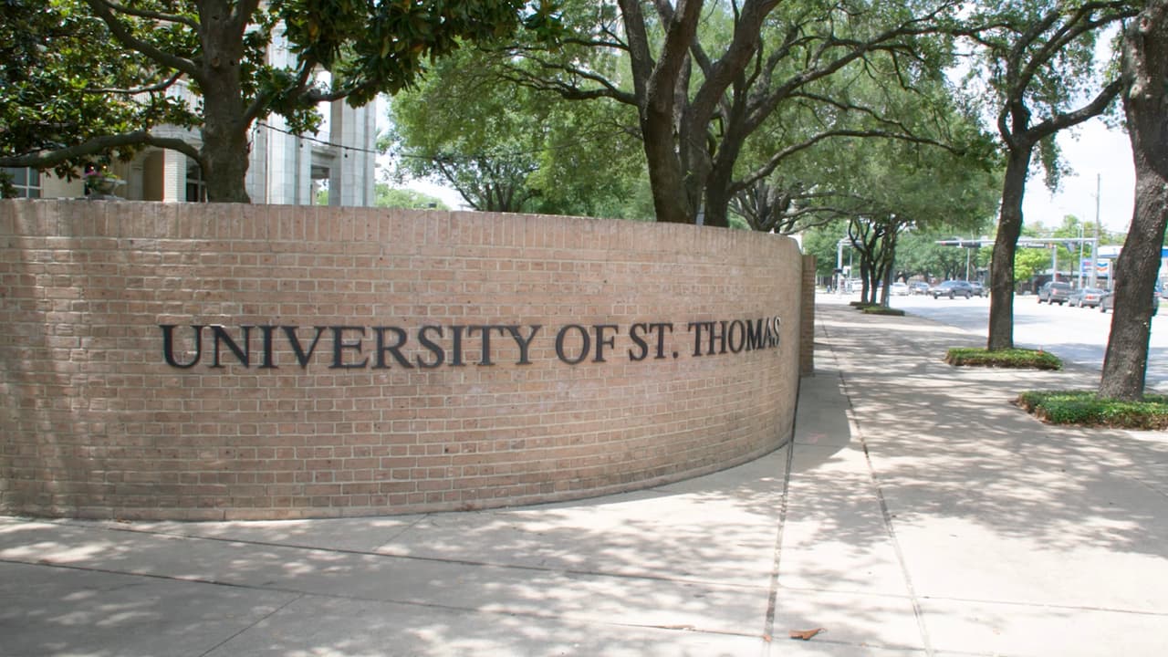 La terapia de aprendizaje es un recurso que se usa al principio por los alumnos y luego es opcional.