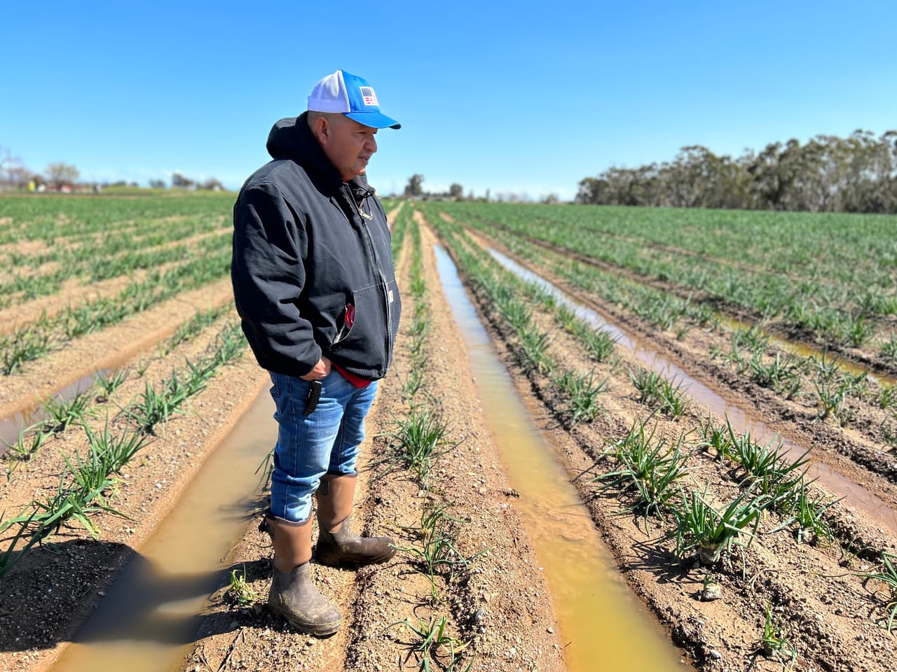 Tormentas invernales causan estragos en el campo y pérdidas de empleo