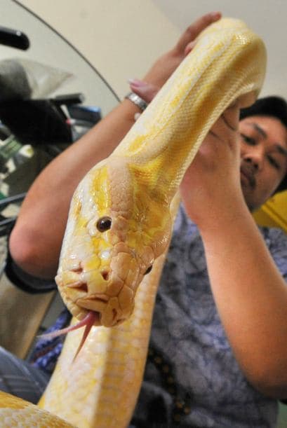 En Univision Radio queremos saber tu opinión sobre este concurso.