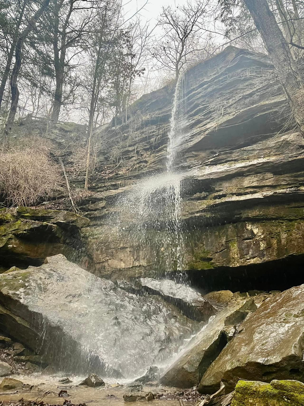 Si la madre naturaleza coopera con algunas lluvias abundantes, Alpha Falls es otra de las cascadas súper escénicas del parque que también podrías visitar.