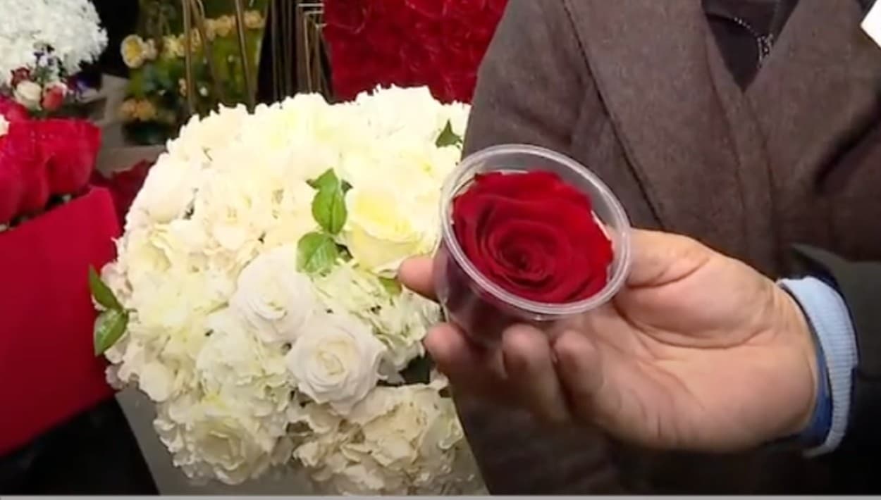 ¿Cuánto se gasta en promedio en un regalo de San Valentín? Con una flor "eterna" ni te acercas