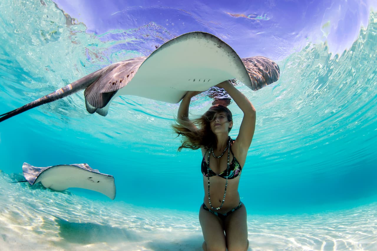 Modelos y rayas trabajaron juntos bajo las aguas de Moorea, isla localizada al noroeste de Tahití.