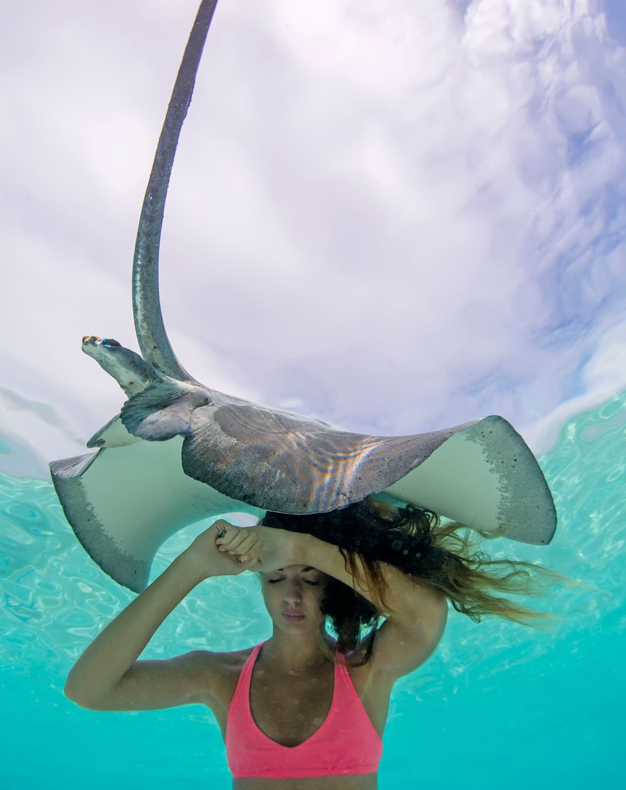 Además, ensayó con las rayas para evitar que estas fueran mortales.