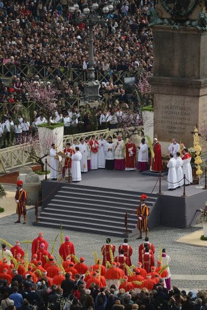 Olivos centenarios traídos de la sureña región italiana de Puglia (Apulia) y palmas procedentes de Sanremo (Italia) adornan la plaza vaticana.