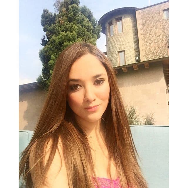 La actriz cree que la razón pudo haber sido una baja de litio en su cerebro: "Yo creo que de pronto puede venir un desequilibrio químico en el cerebro, una baja de litio, se puede dar y es totalmente válido, hay veces que las personas en lugar de pedir ayuda piensan que es como una vía más rápida (el suicidio)".