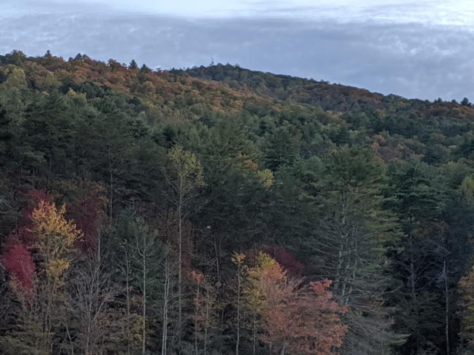 <b><a href="https://gastateparks.org/BlackRockMountain" target="_blank">El parque está en el 3085 de Black Rock Mountain Parkway, en Mountain City. </a></b>