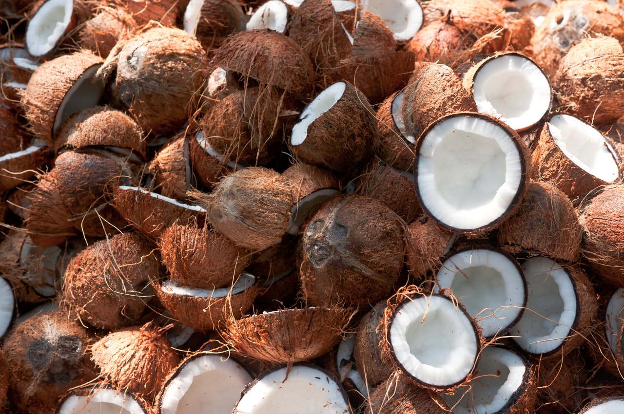 <b>Cocos.</b> Los cocos que Estados Unidos importa provienen predominantemente de los países del sureste asiático, sin embargo, México es el cuarto mayor surtidor de este producto para los EEUU con 11% del total.