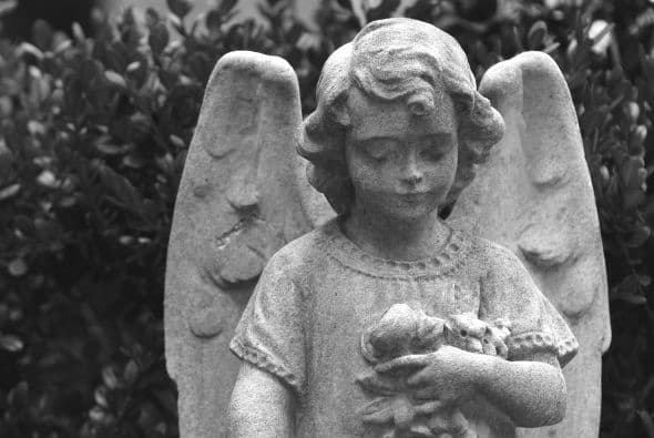 Ana Mercedes Rueda cuenta desde su infancia con la capacidad de canalizar mensajes de los ángeles. Para ponerte en contacto con ella visita su sitio web y encuentra toda su información.