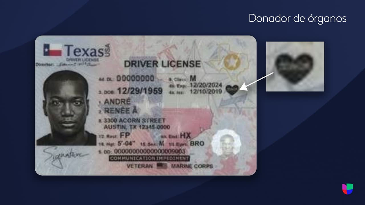 <b>Donador de órganos |</b> Las nuevas tarjetas identificaran si las personas son donadores de órganos.