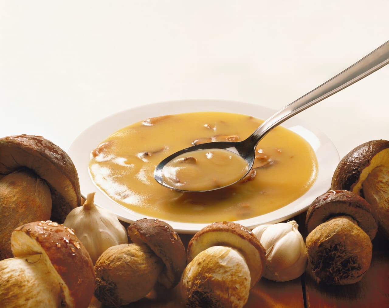 CREMA DE SETAS. Sirve en la mesa una deliciosa crema de setas donde solo necesitas: 250 gramos de setas, 50 gramos de cebolla, 2 dientes de ajo. 100 gramos de crema de leche, 5 cucharadas de aceite de oliva, sal y pimienta negra al gusto.