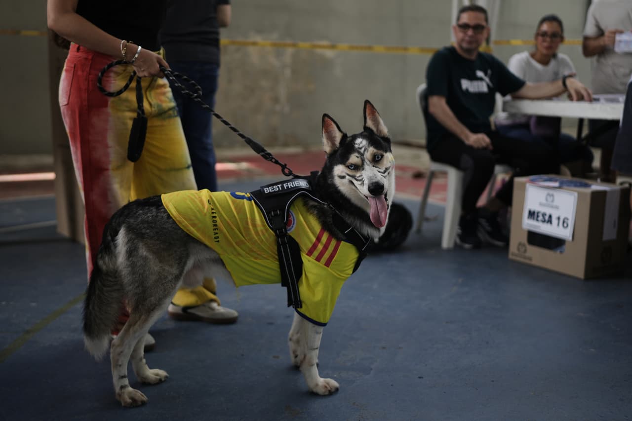 Una votante espera en la fila con su perro, que lleva puesta la camiseta de la selección colombiana de fútbol y tiene la cara pintada como un tigre, en un centro de votación durante la segunda vuelta de las elecciones en Barranquilla, Colombia, el domingo 21 de junio de 2026.