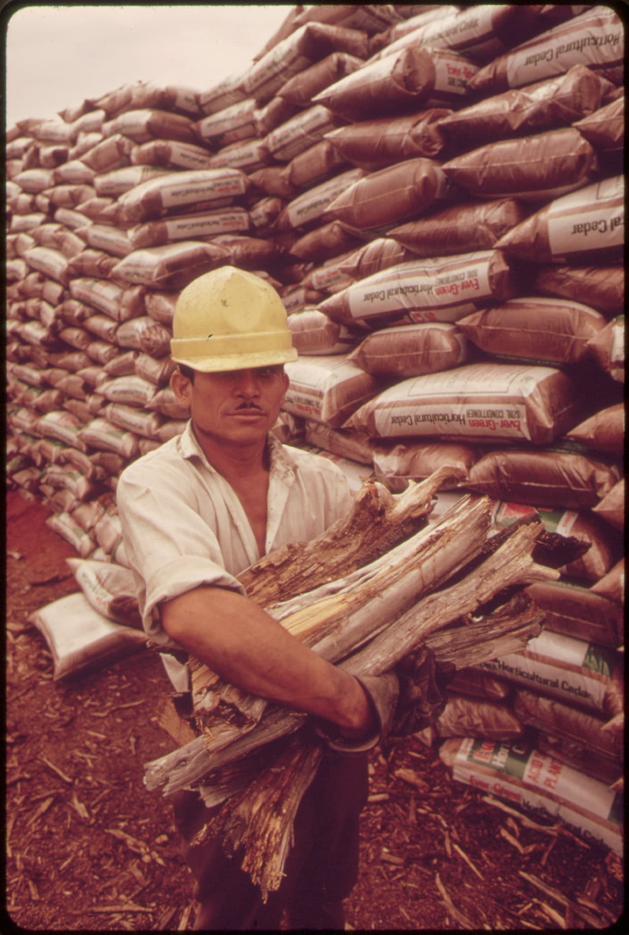 Trabajador de un molino de cedro. Leakey, Texas, 1973.