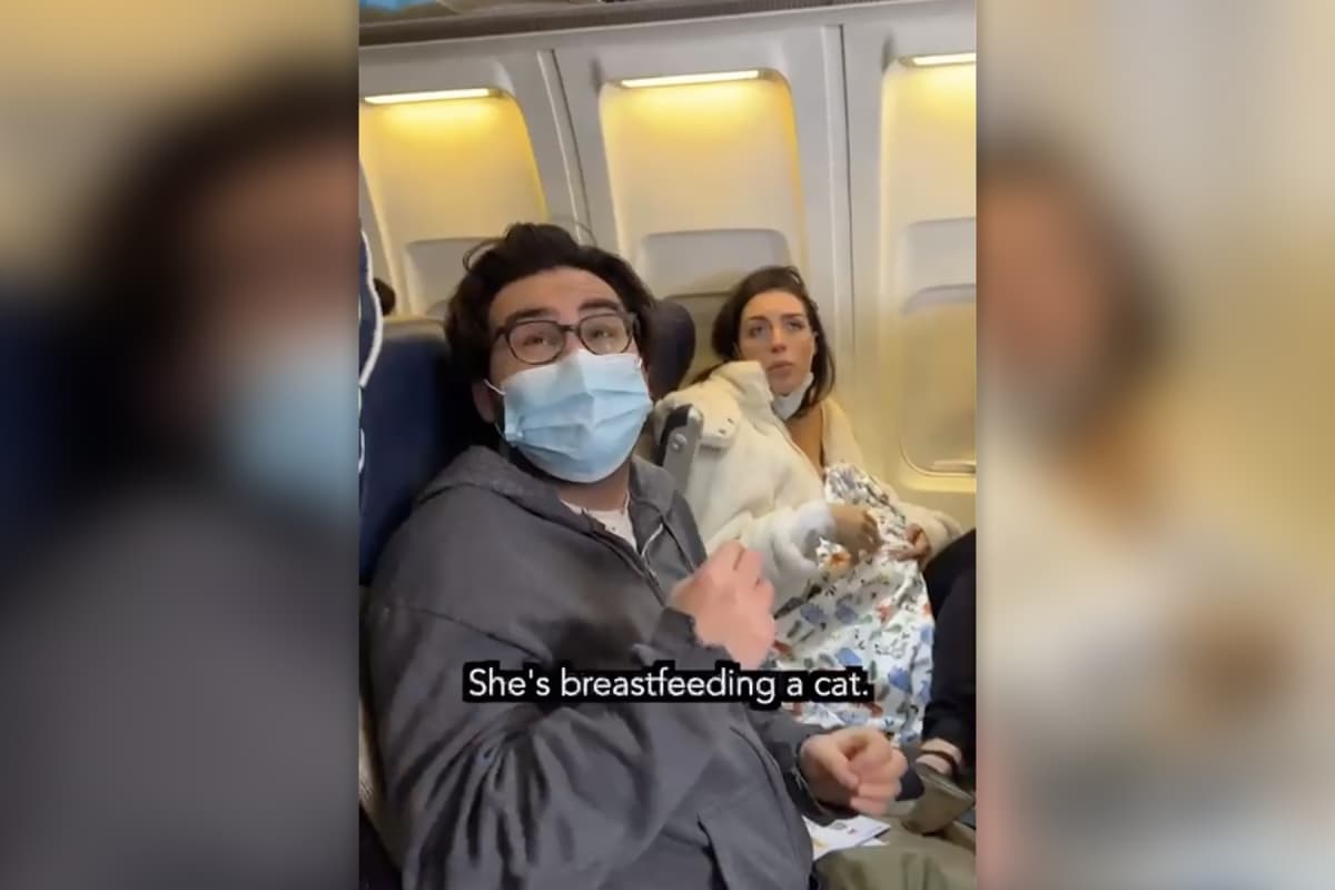 <b><a href="https://www.univision.com/local/nueva-york-wxtv/mujer-amamanta-gato-vuelo-nueva-york">Descubren a una mujer amamantando a un gato en un avión en pleno vuelo </a></b>
<br>La mujer llevaba "a uno de esos gatos sin pelo" envuelto en una manta. Cuando la asistente de vuelo le pidió que metiera a la mascota de vuelta a su jaula, ella se negó a hacerlo, según un mensaje del piloto que fue publicado en redes sociales. Una historia similar surgió unas semanas después, pero resultó ser falsa.