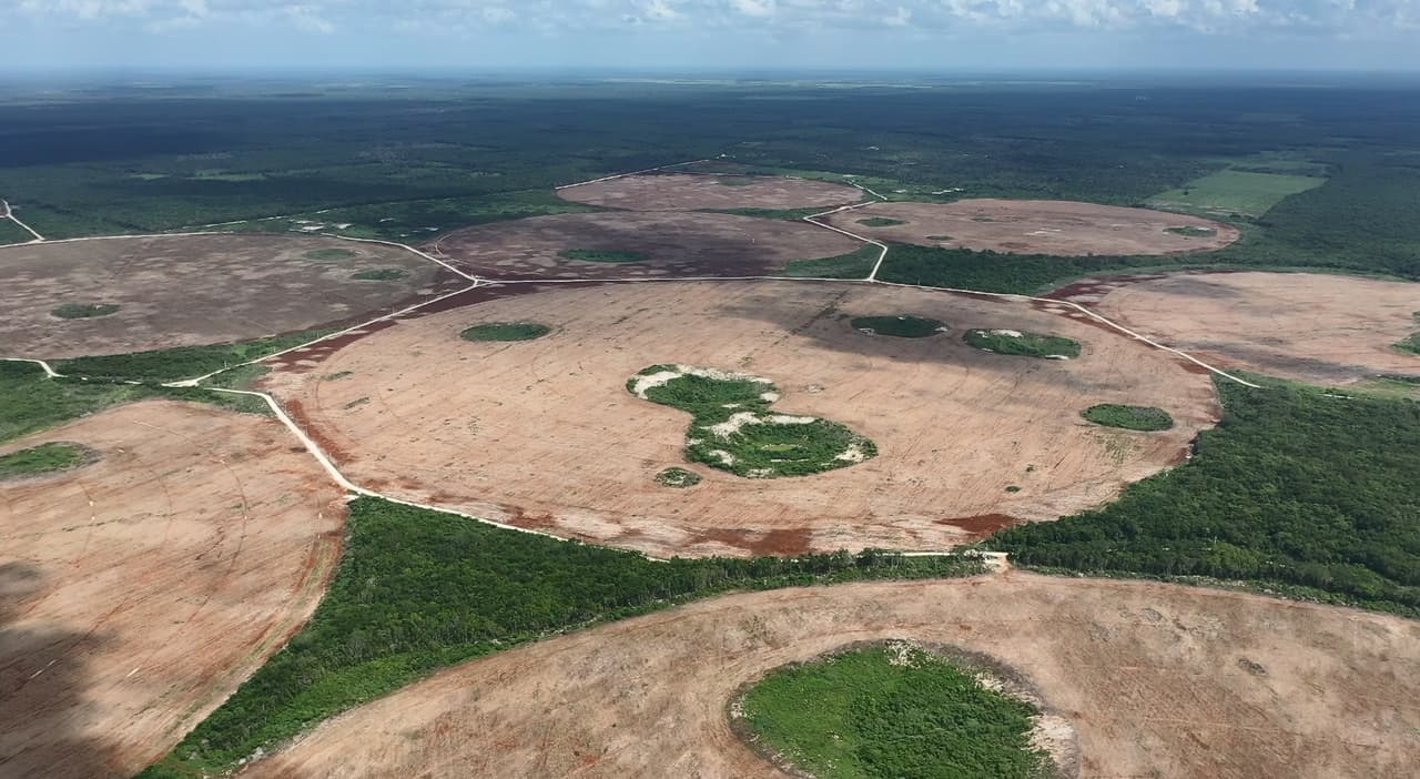 Daño ambiental en Yucatán: la explotación descontrolada de fuentes de agua en el paraíso maya